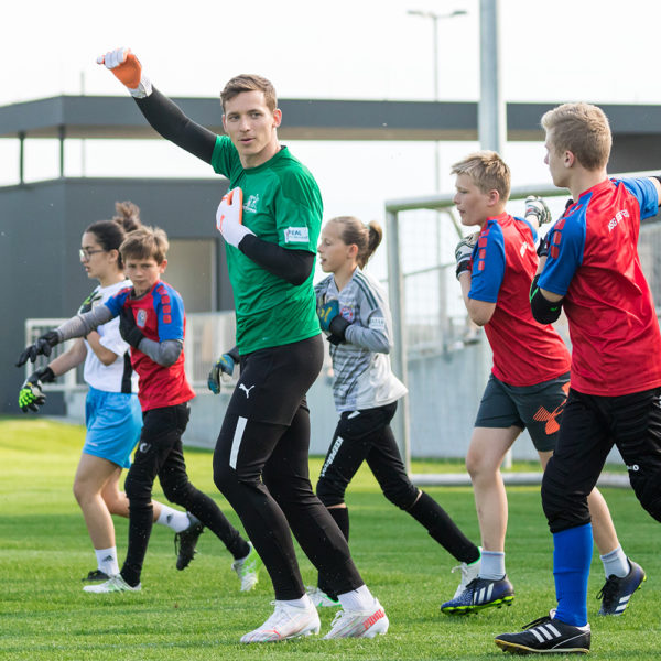 Kostenloses Schnuppertraining
